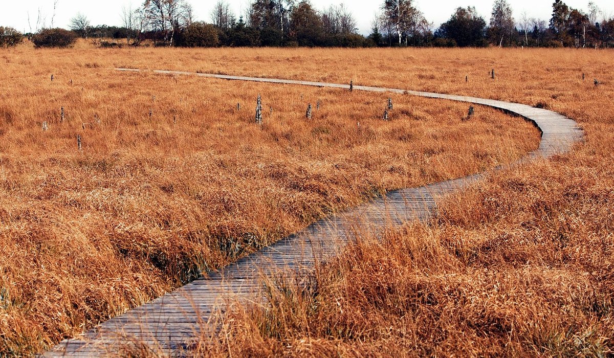 Using Gravel and Stone to Frame a Rural Border